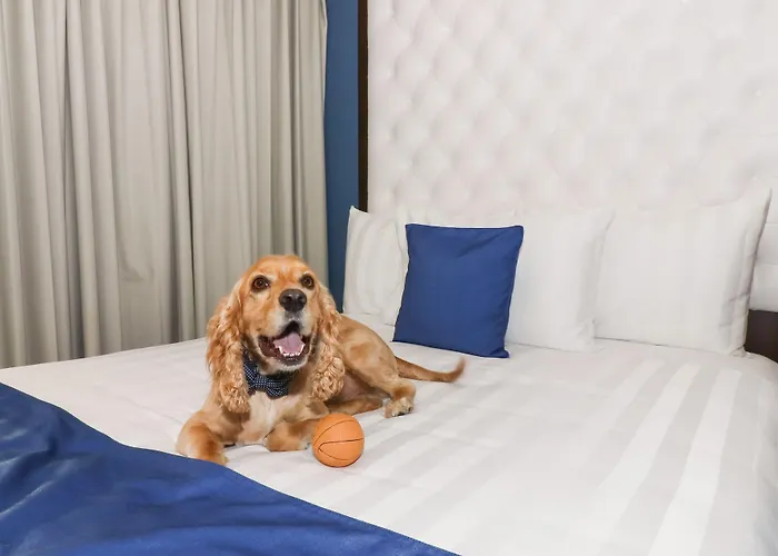 Hotel Medano Hotel&spa 4*